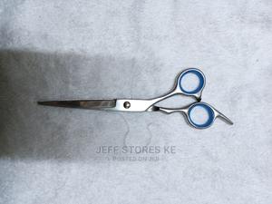 Stainless Scissor - main view