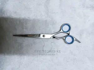 Stainless Scissor