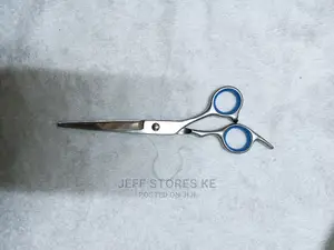 Stainless Scissor