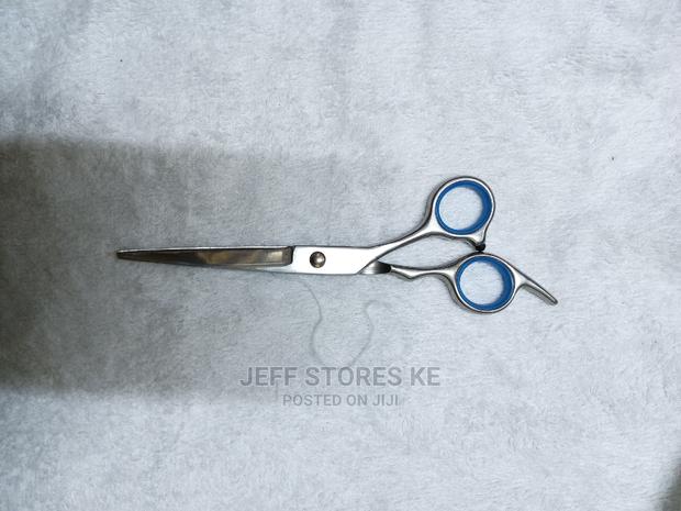 Stainless Scissor - thumbnail 2