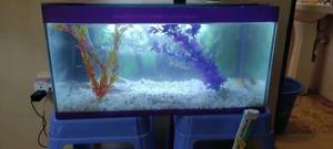 Fish Aquarium With Fish,Complete - thumbnail 2