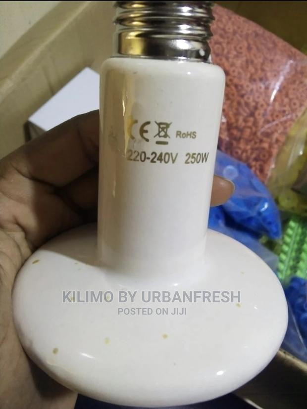 200 Watts Ceramic: 1 Bulb Ceramic Holder = 100 Chicks. - main view
