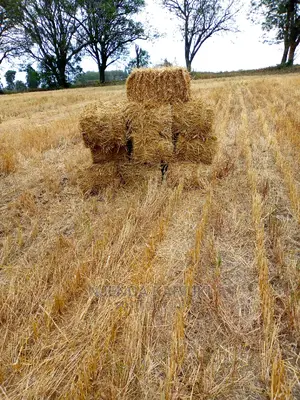 Barley and Wheat Straws
