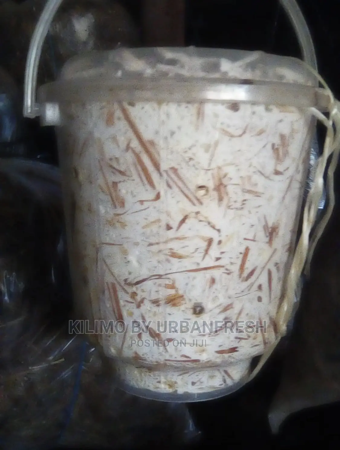 Oyster Mushroom Ready to Grow Buckets.