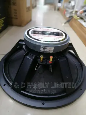 Derwel 15AH21 15 Inch Naked Speaker
