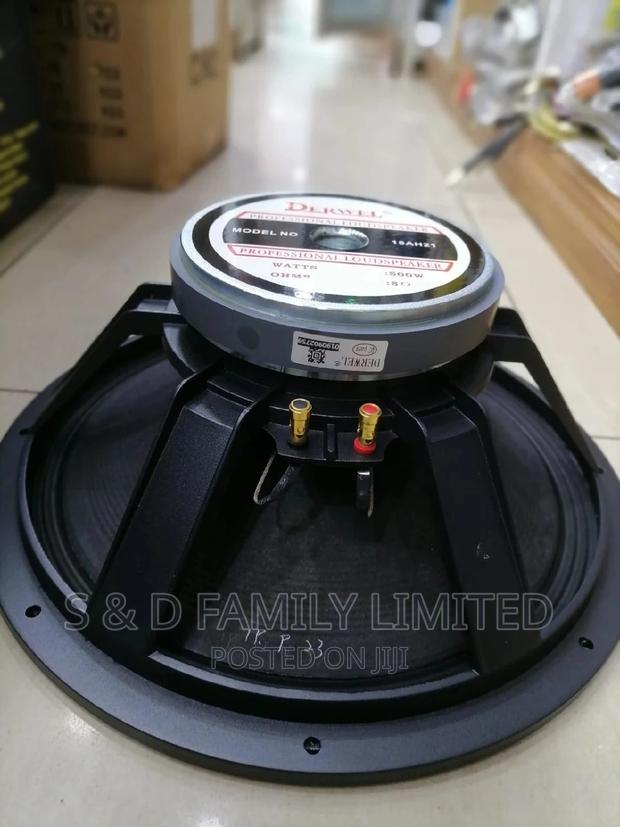 Derwel 15AH21 15 Inch Naked Speaker - thumbnail 2