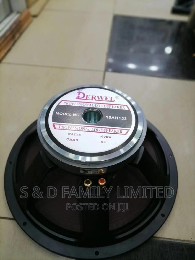 Derwel 15AH153 15 Inch Naked Speaker