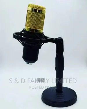 BM 800 Studio Mic With Table Stand