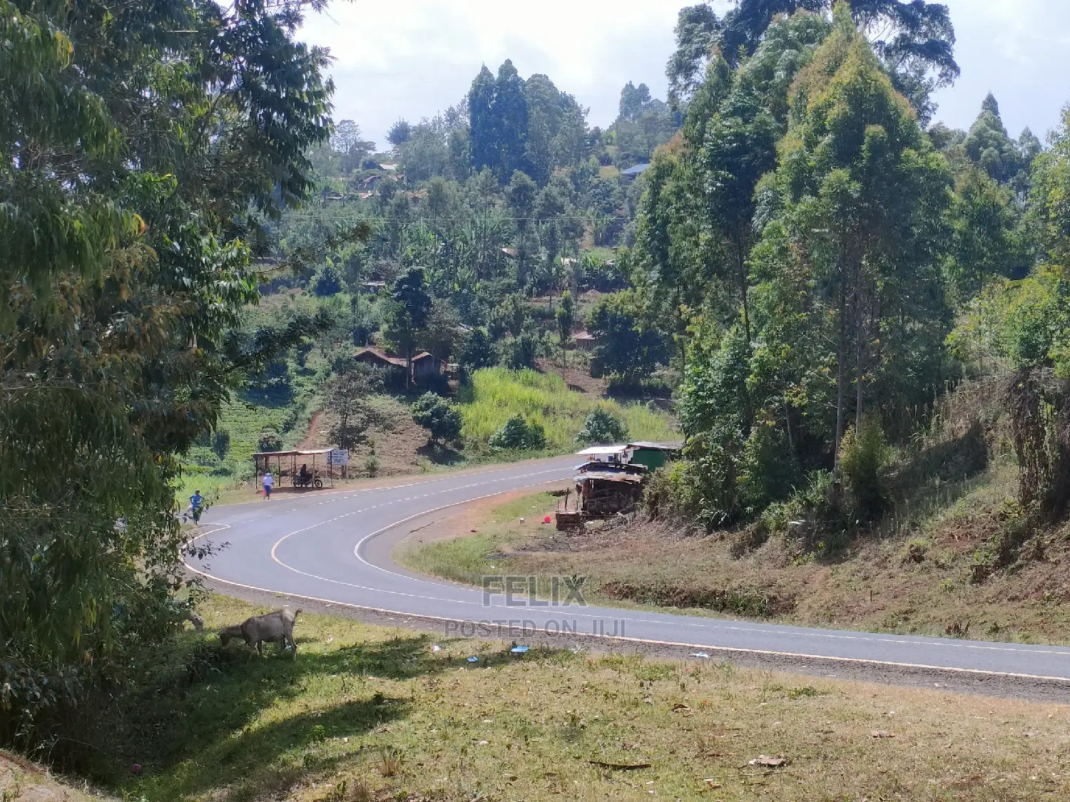 Nyeri/0thaya 1 Acre