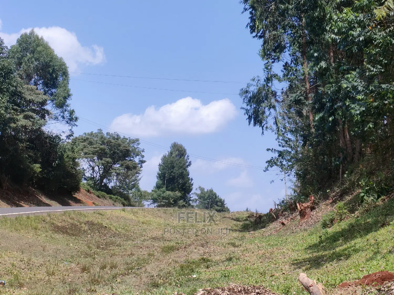 Nyeri/0thaya 1 Acre