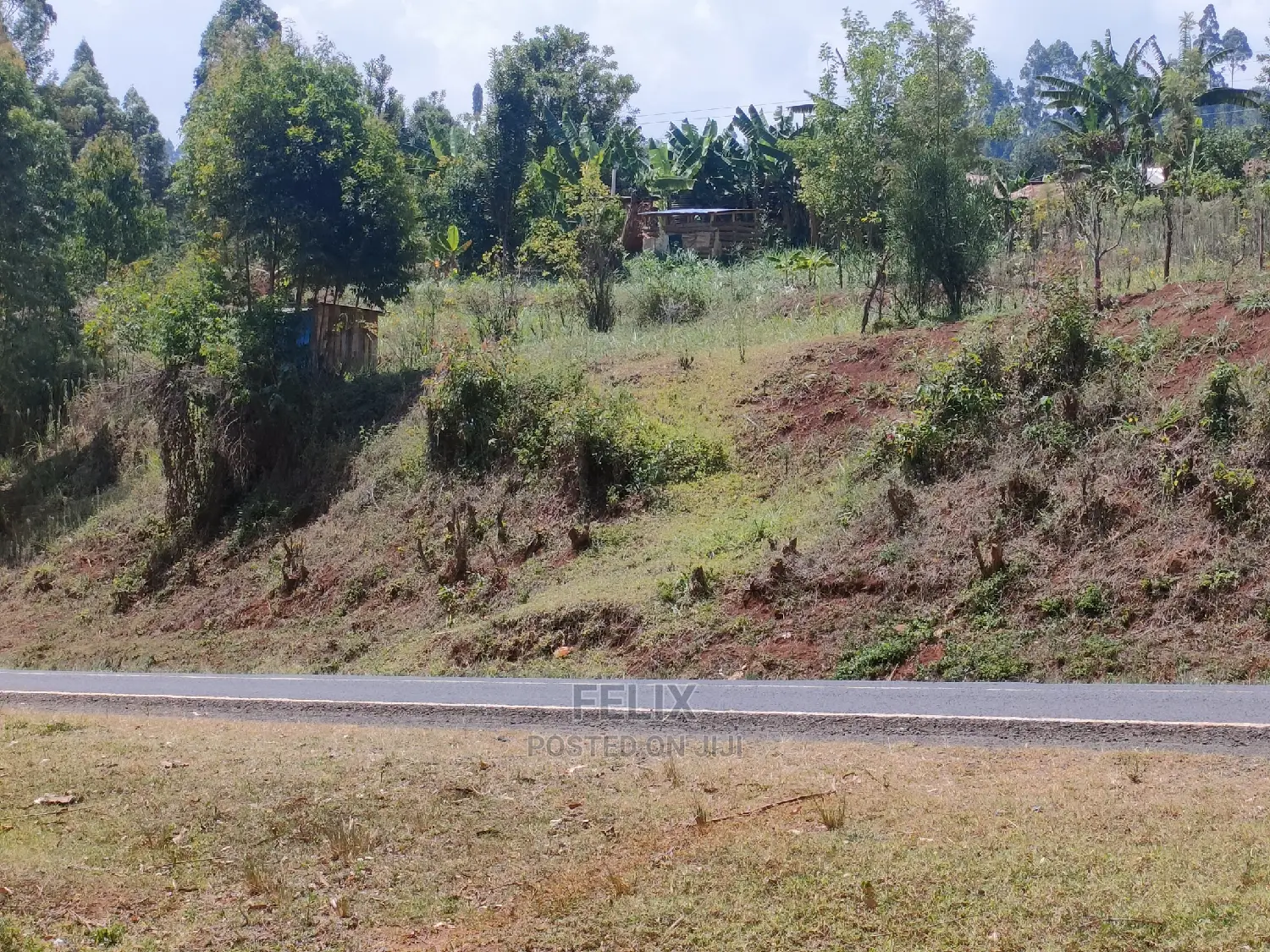 Nyeri/0thaya 1 Acre