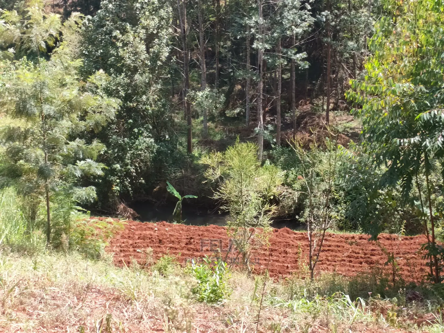 Nyeri/0thaya 1 Acre