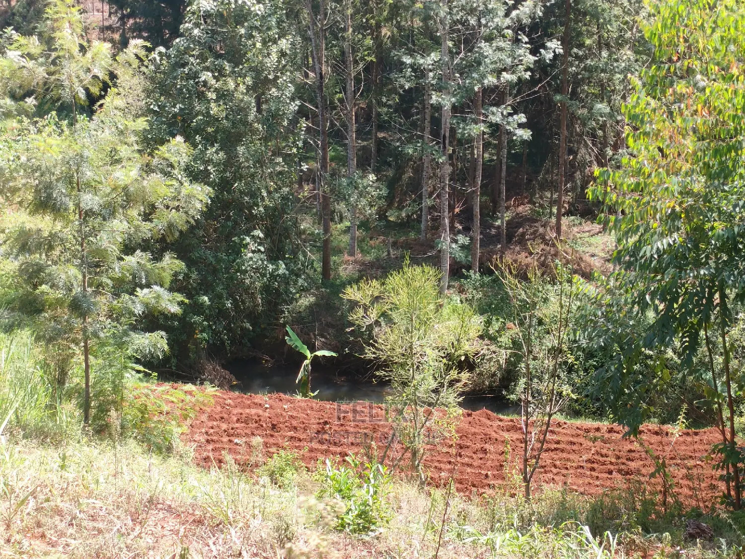 Nyeri/0thaya 1 Acre
