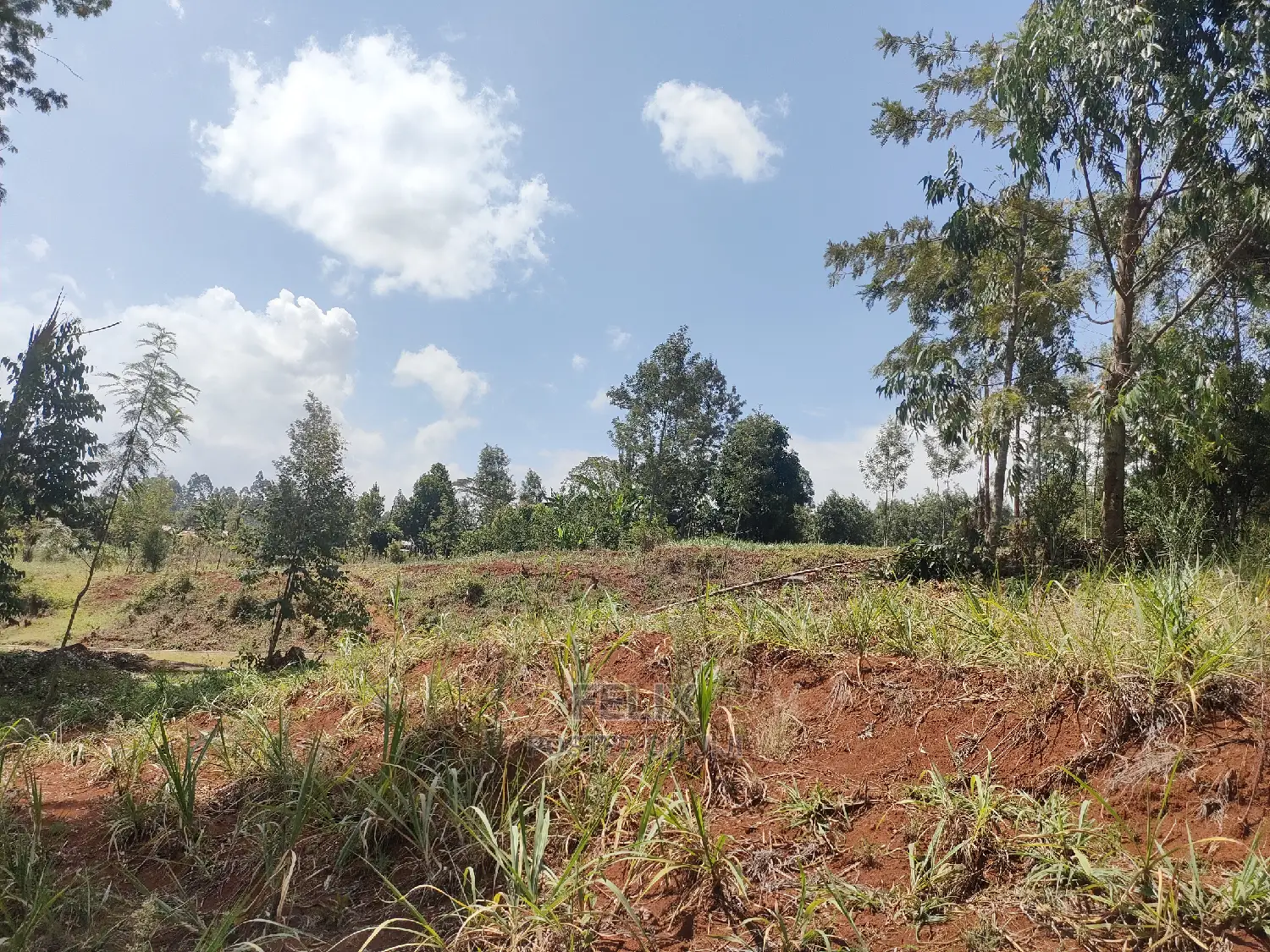 Nyeri/0thaya 1 Acre