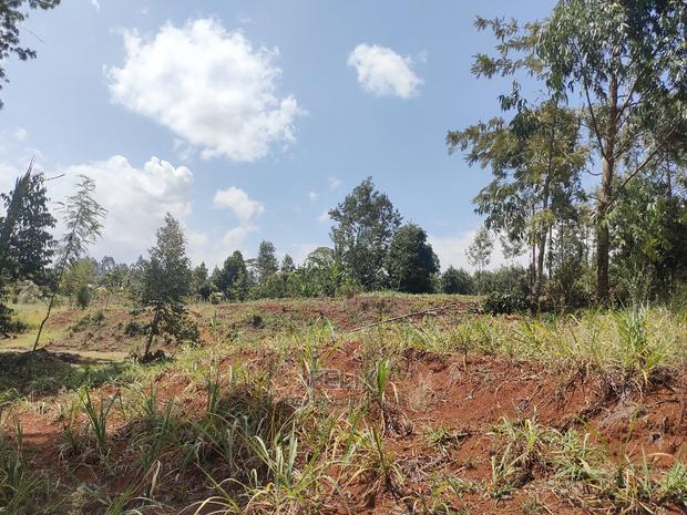 Nyeri/0thaya 1 Acre - thumbnail 11
