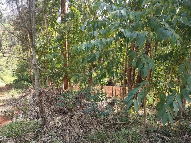 Nyeri/0thaya 1 Acre - thumbnail 14