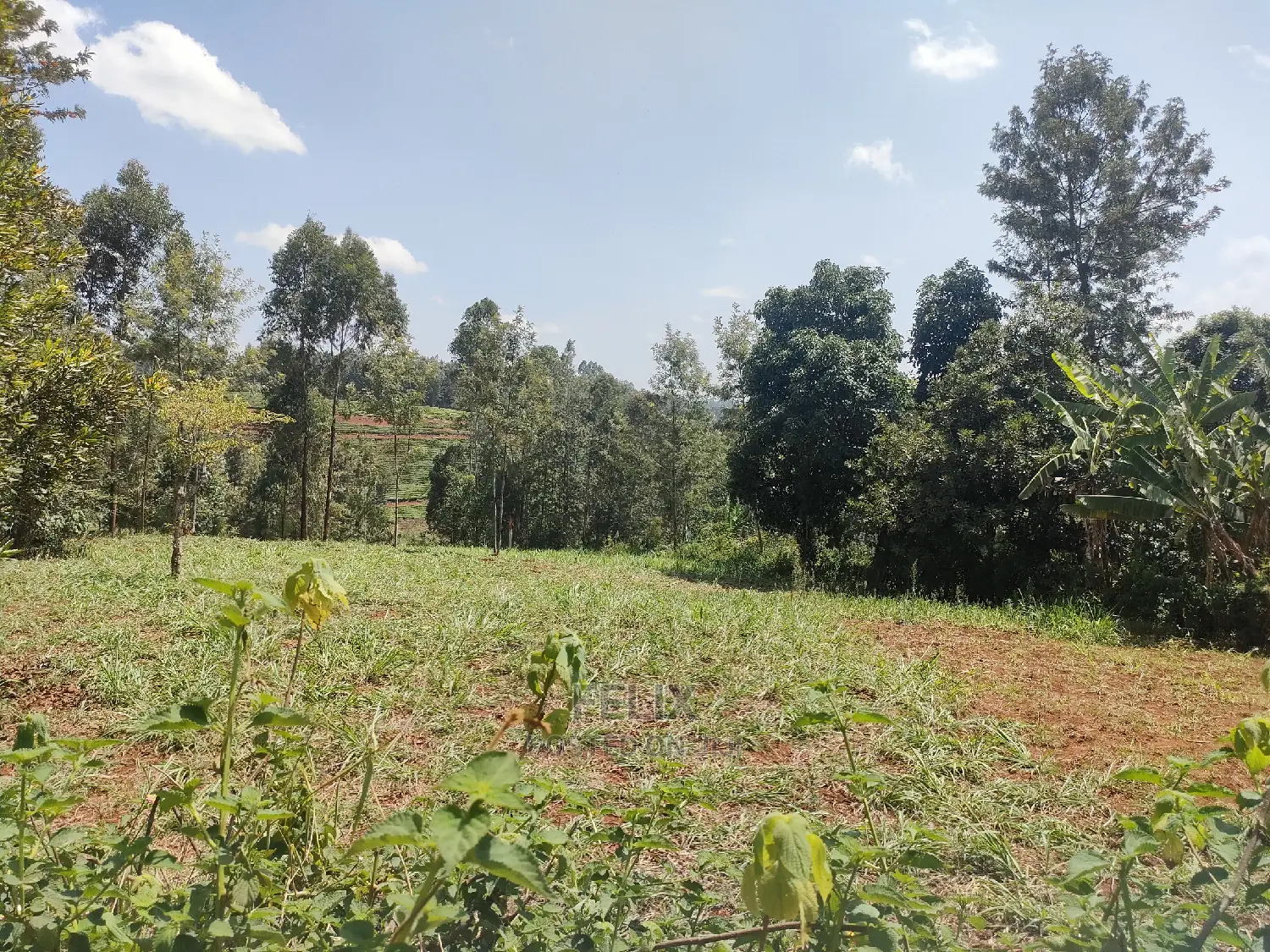 Nyeri/0thaya 1 Acre