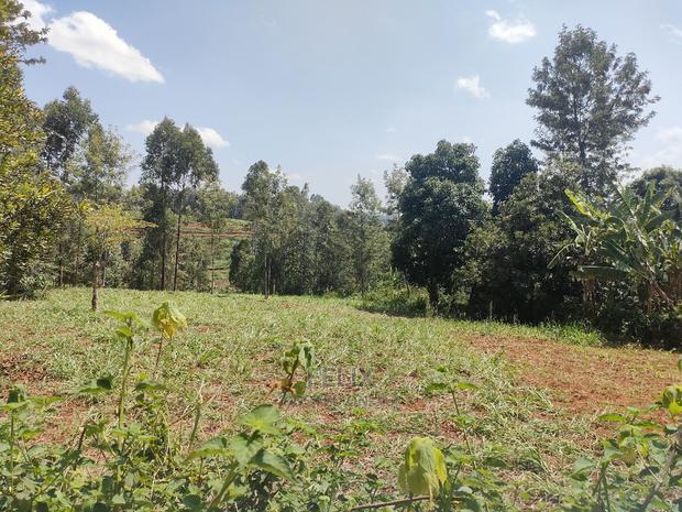 Nyeri/0thaya 1 Acre - thumbnail 19