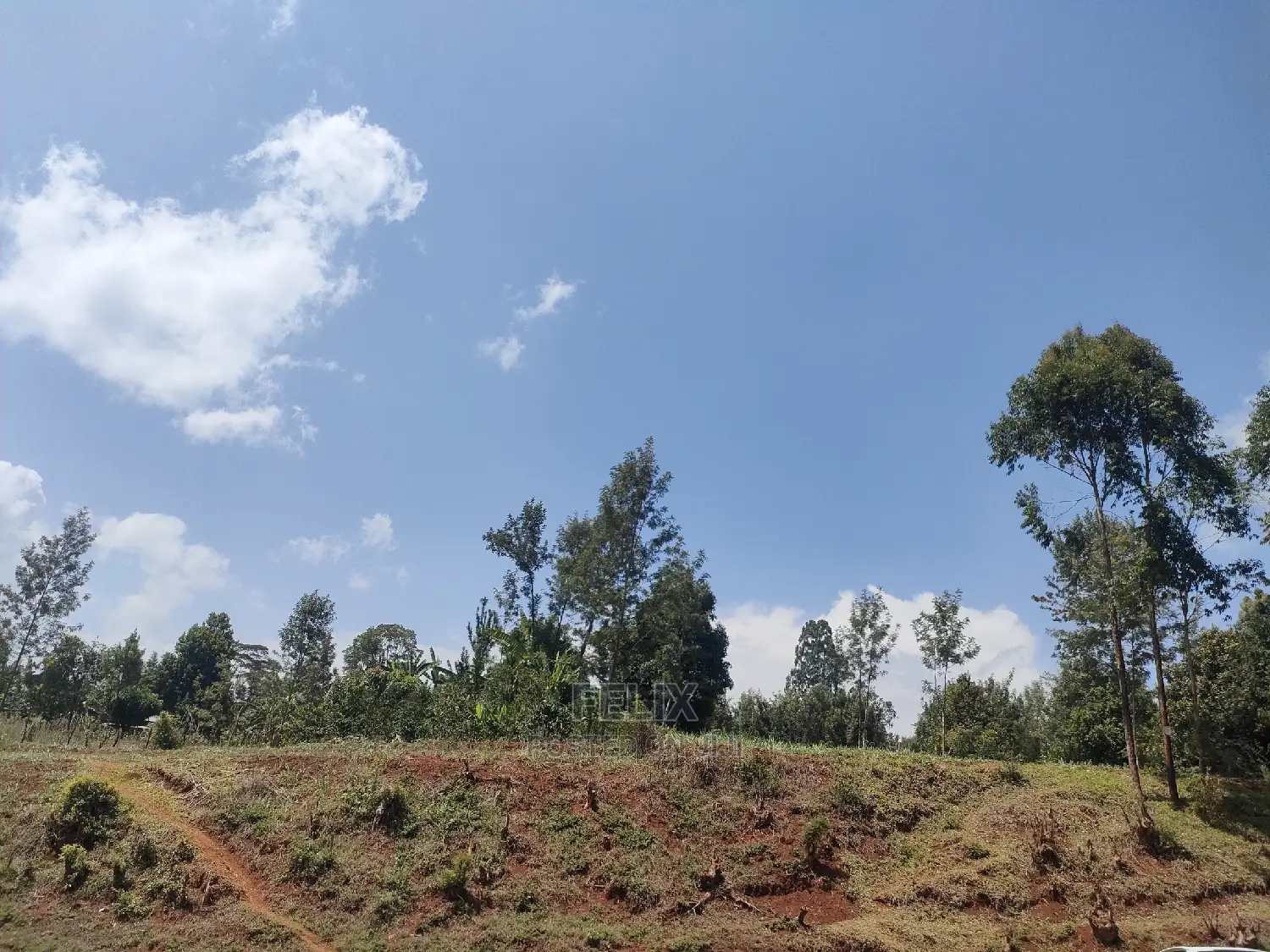 Nyeri/0thaya 1 Acre