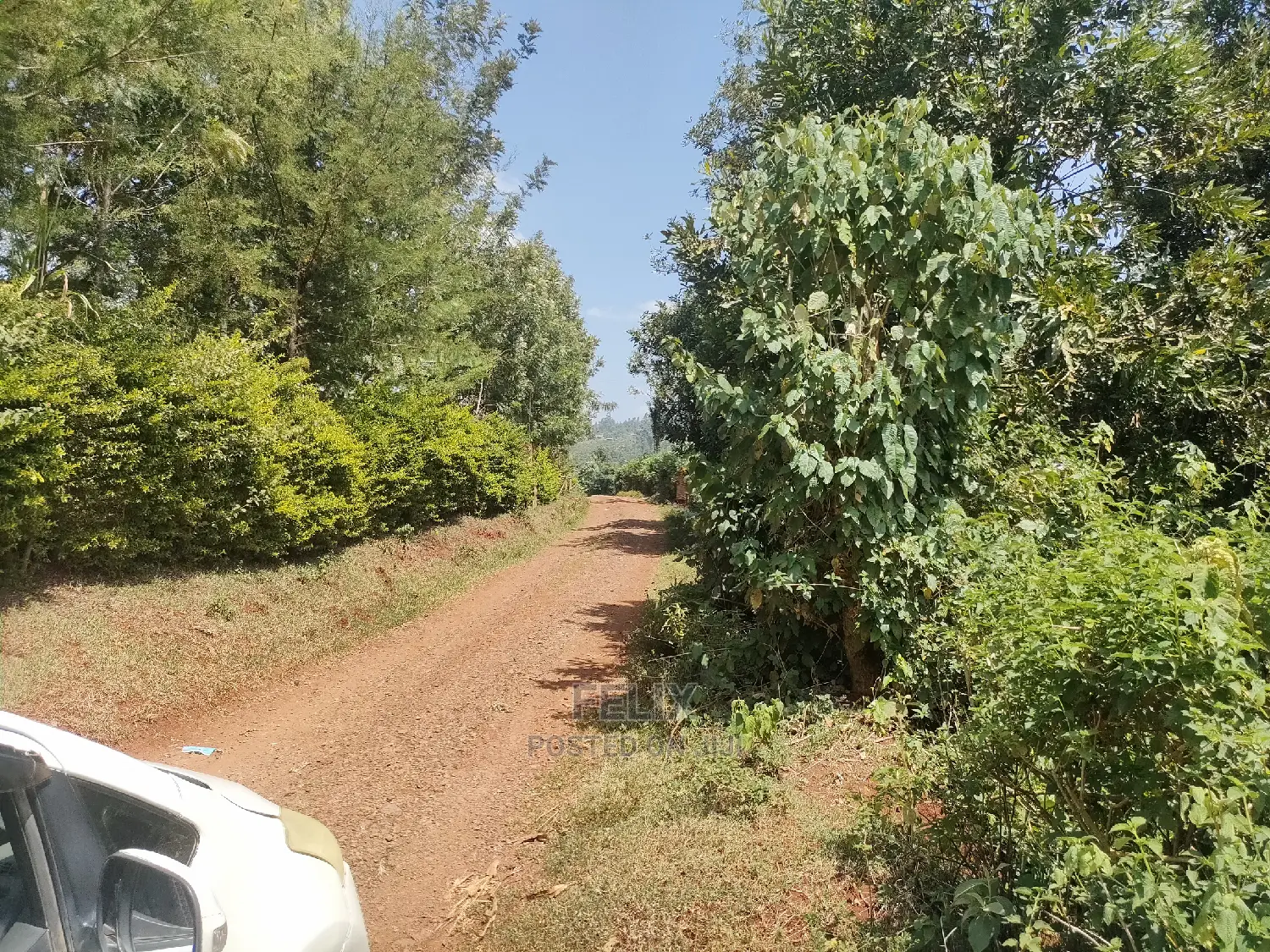 Nyeri/0thaya 1 Acre