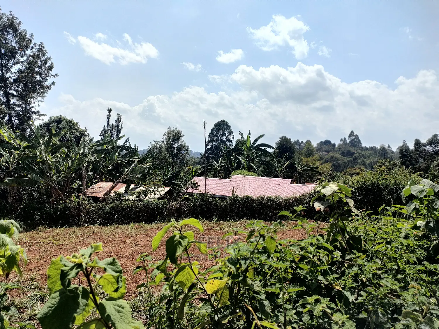 Nyeri/0thaya 1 Acre