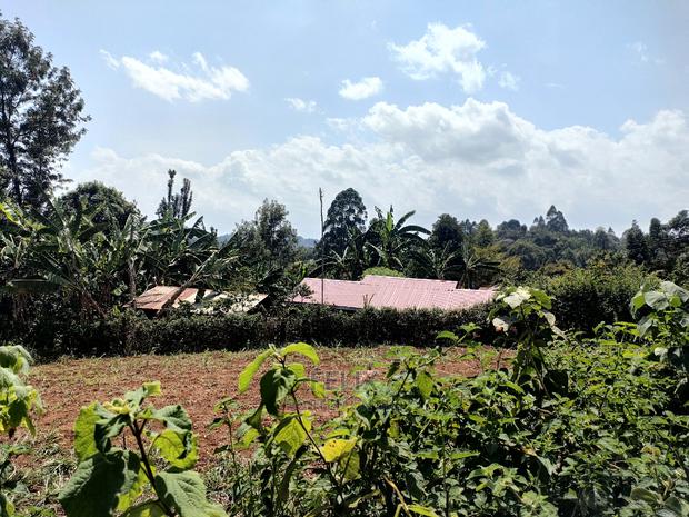 Nyeri/0thaya 1 Acre - thumbnail 21