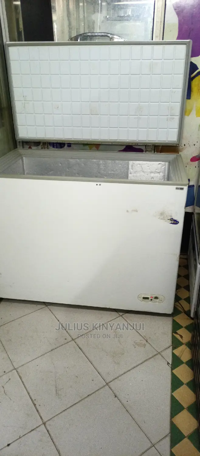 Deep Freezer 320L