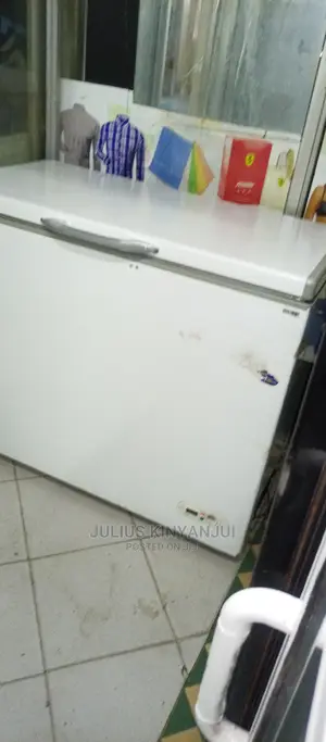 Deep Freezer 320L