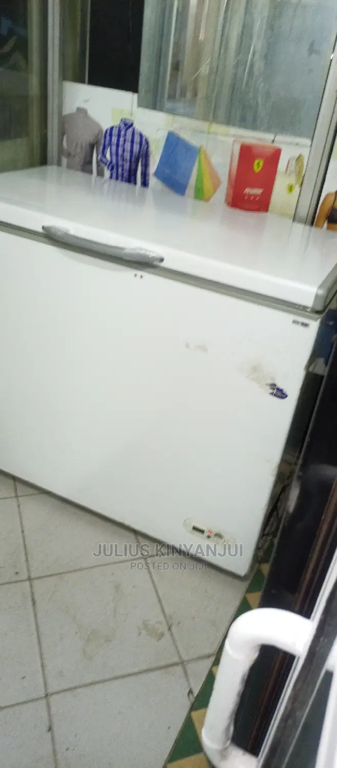 Deep Freezer 320L