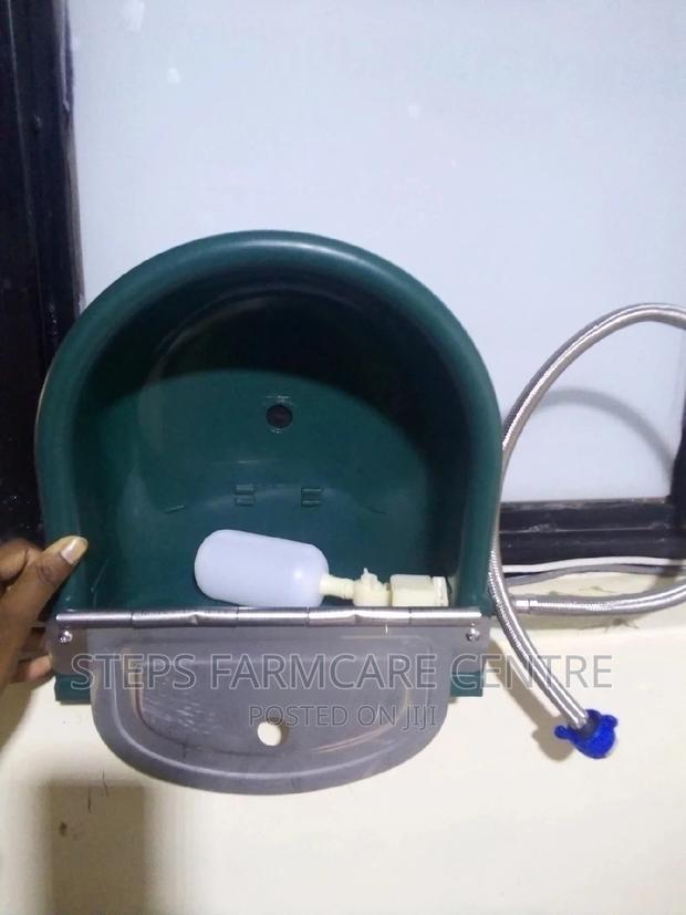 Cow Drinker With Water Outlet - main view