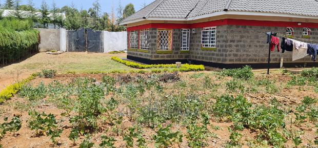 4bdrm Bungalow in Autspan, Racecourse for Sale - thumbnail 7