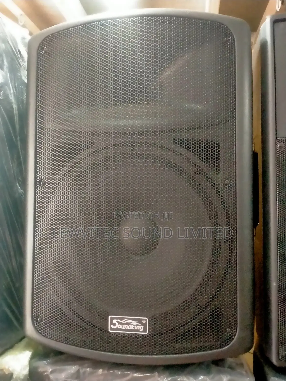 Soundking Plastic Speaker