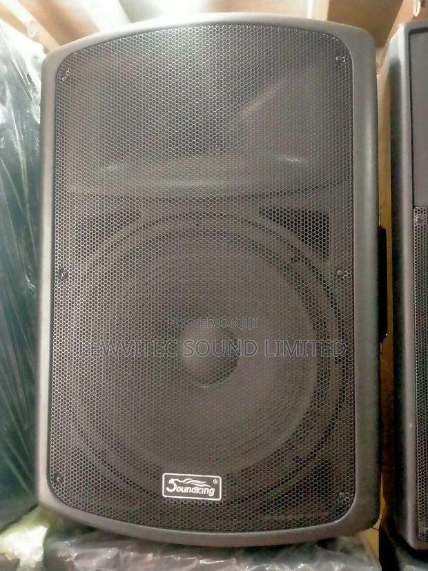 Soundking Plastic Speaker