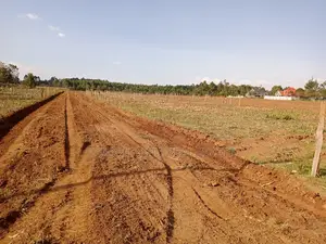 Several 1/4 Plots and 1/8 Plots Outspan