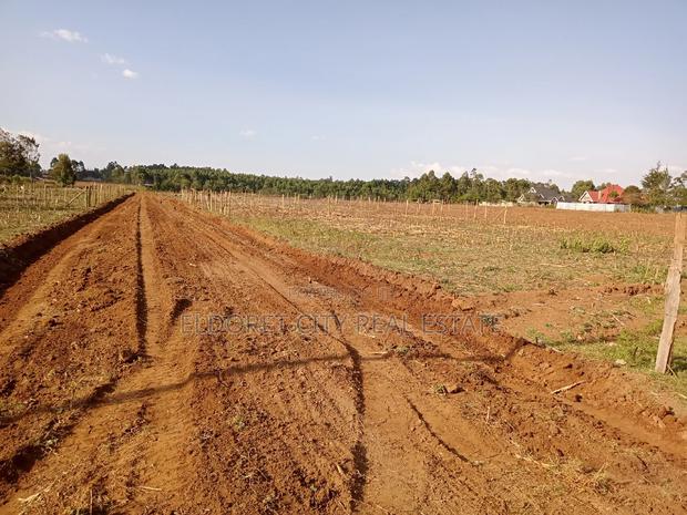 Several 1/4 Plots and 1/8 Plots Outspan - main view