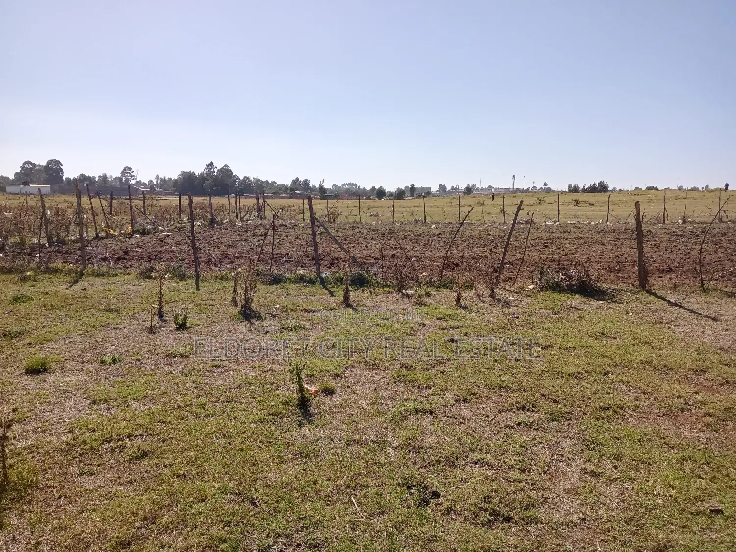 1/4 Plot Hawaii Kimumu Ideal for Rental