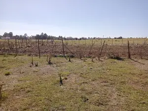 1/4 Plot Hawaii Kimumu Ideal for Rental