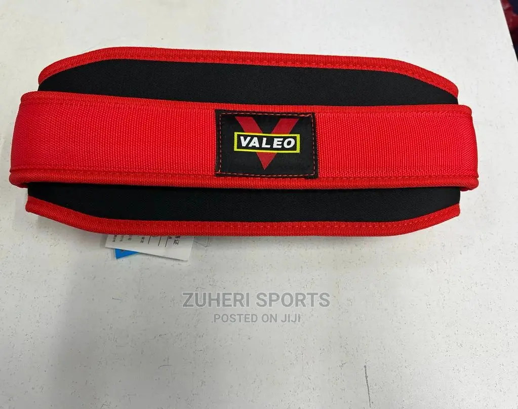 Gym Belt/ Squat Belt