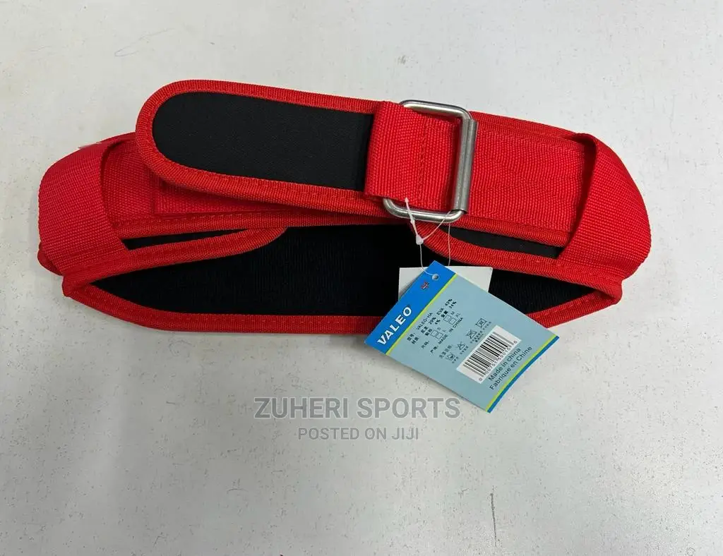 Gym Belt/ Squat Belt