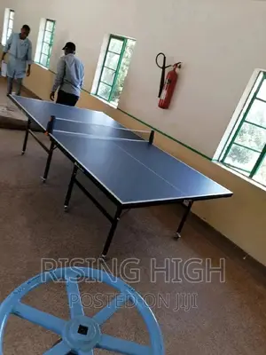 Top High Best Quality Table Tennis