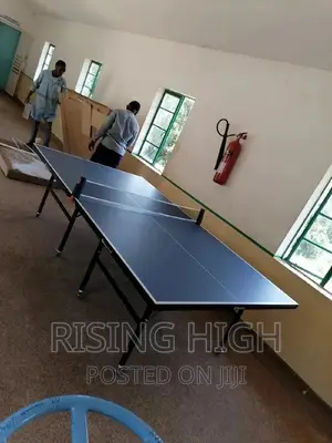 Prestige Top Quality Table Tennis