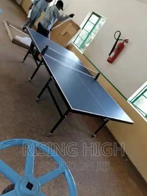 New Arrivals Unique Table Tennis