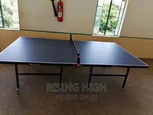 Beast High Quality Table Tennis