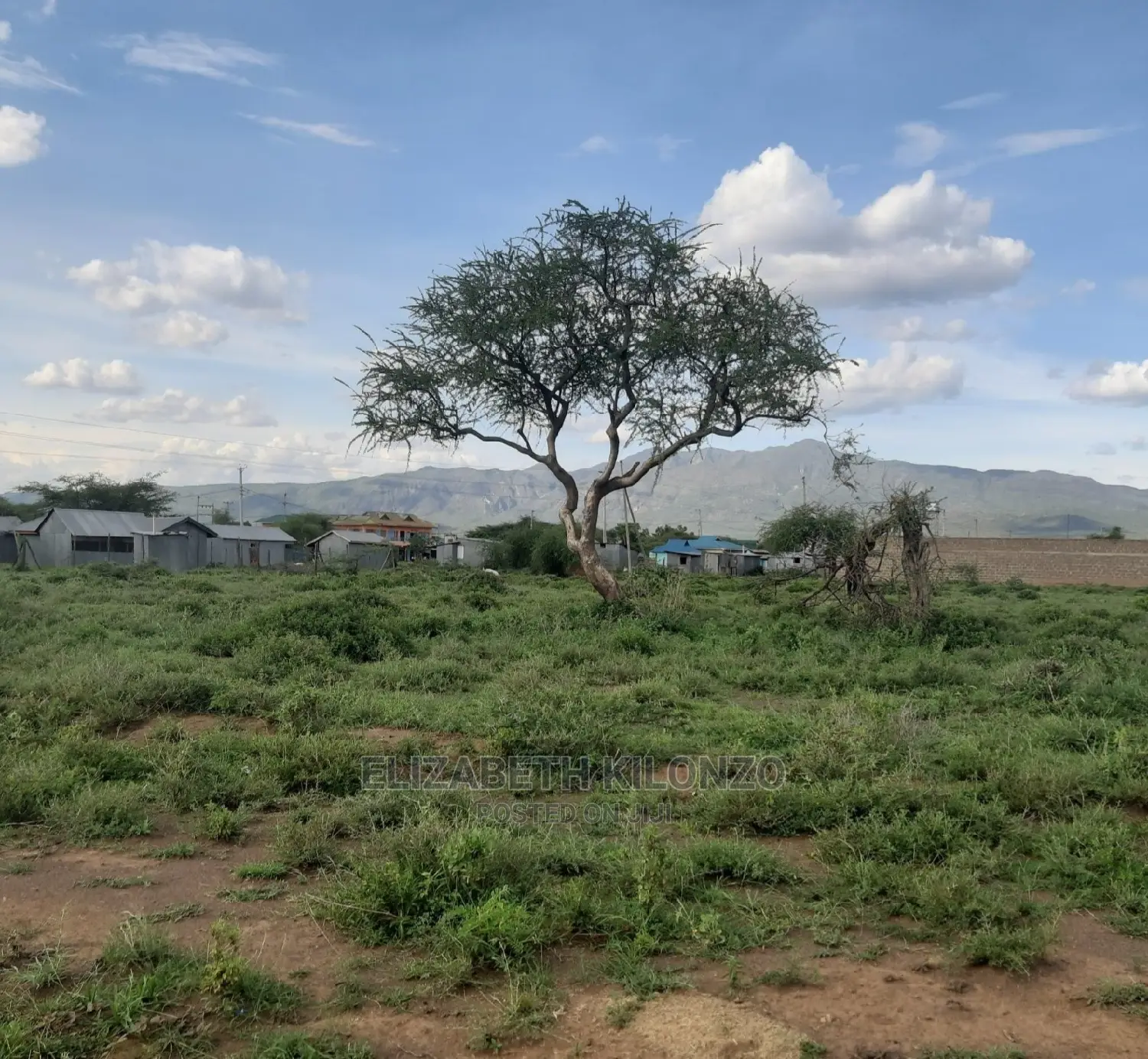 Oltepesi Gardens in Kiserian Land & Plots for Sale, Elizabeth Kilonzo