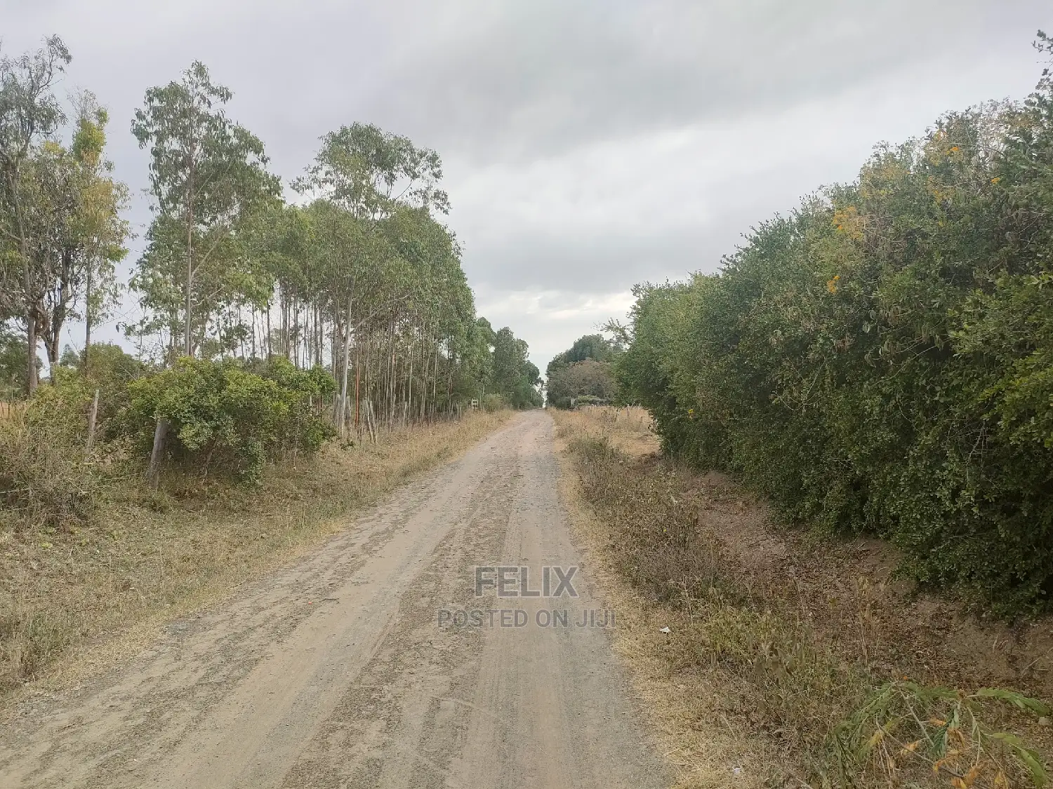1 Acre Chaka/Narumoru Highway /Ndiriti