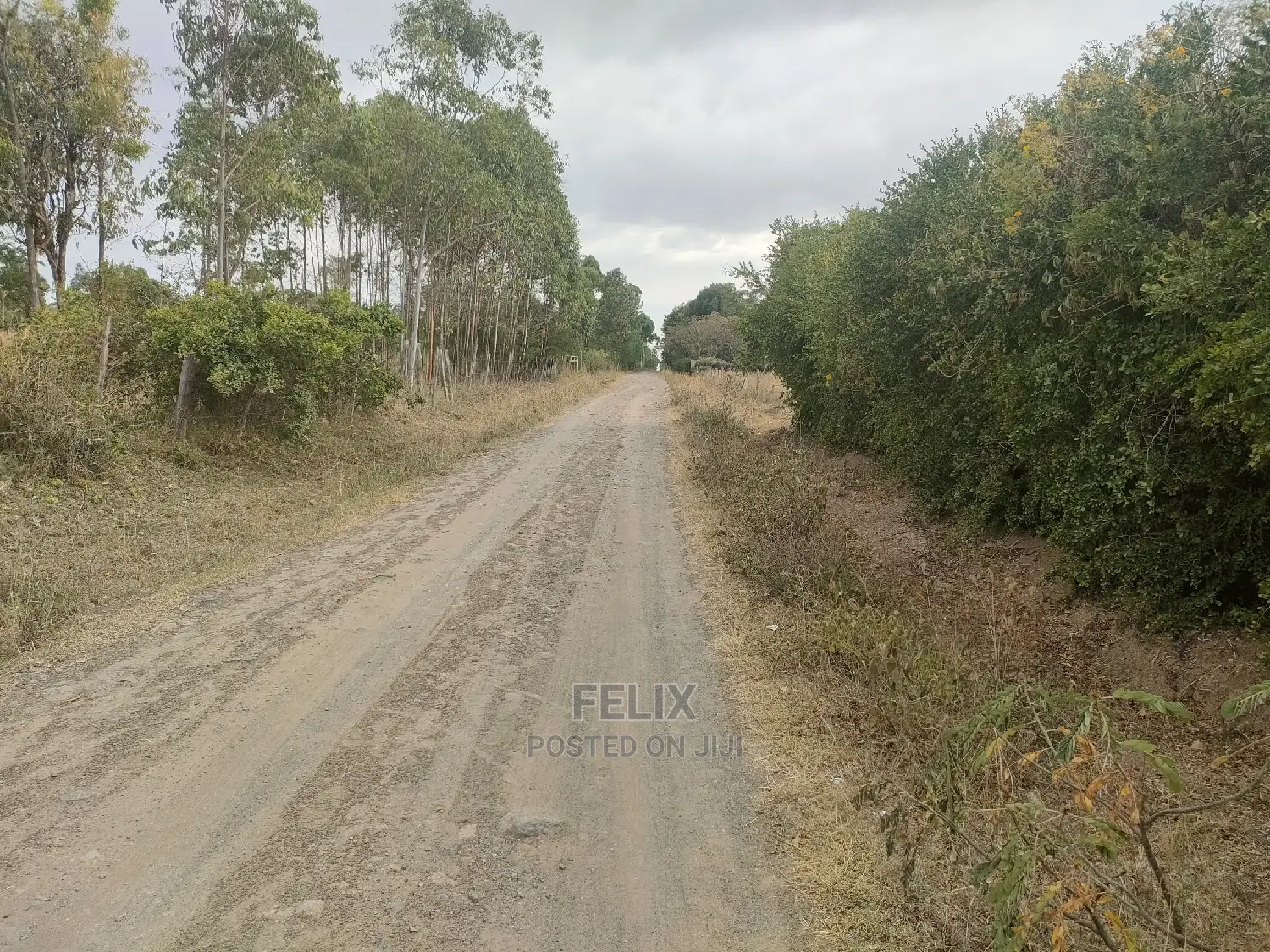 1 Acre Chaka/Narumoru Highway /Ndiriti
