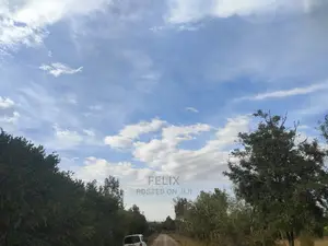 1 Acre Chaka/Narumoru Highway /Ndiriti