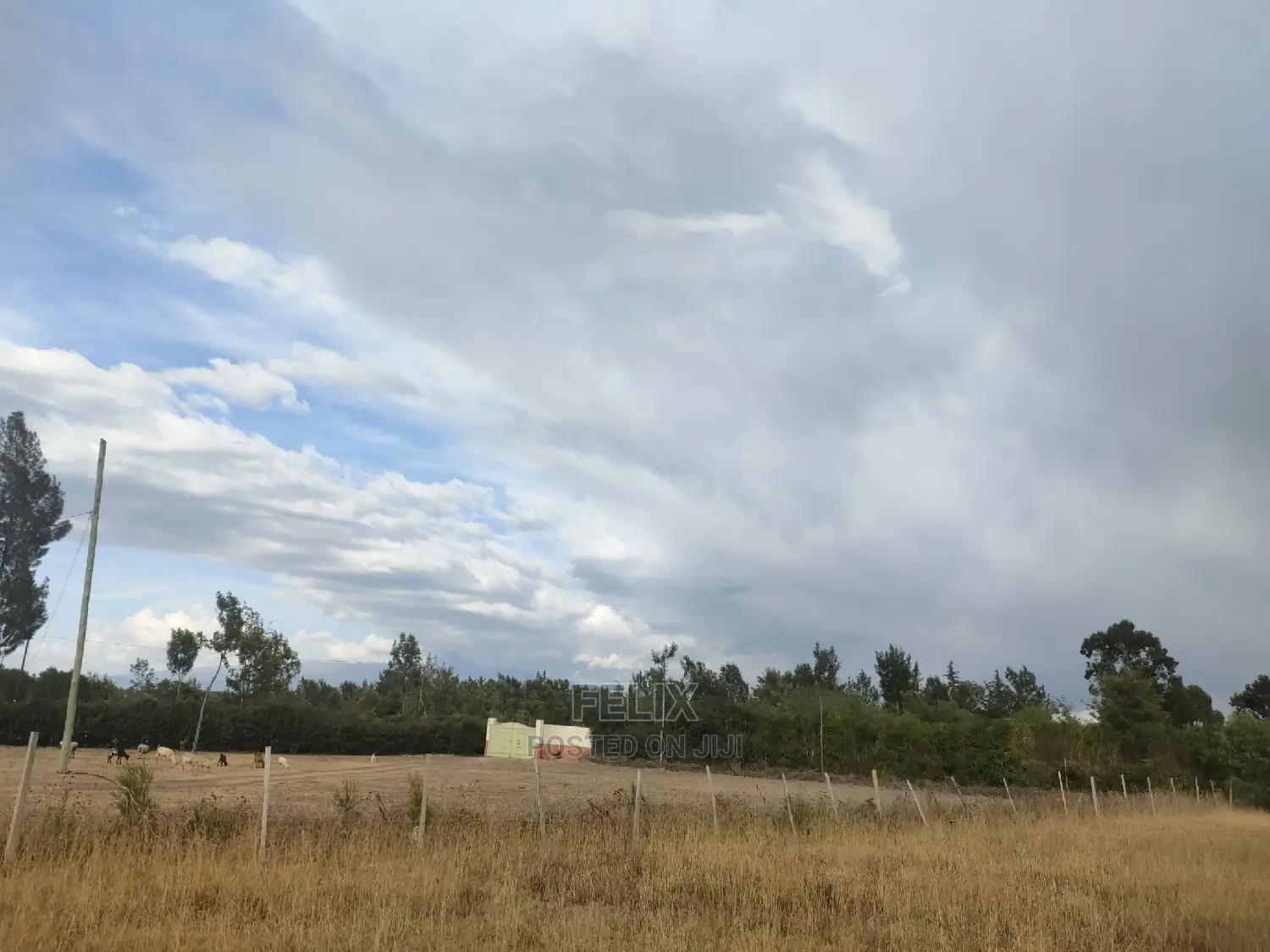 1 Acre Chaka/Narumoru Highway /Ndiriti
