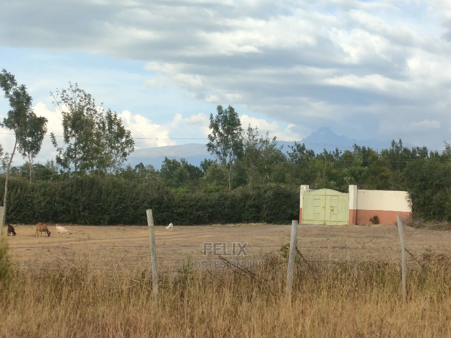 1 Acre Chaka/Narumoru Highway /Ndiriti