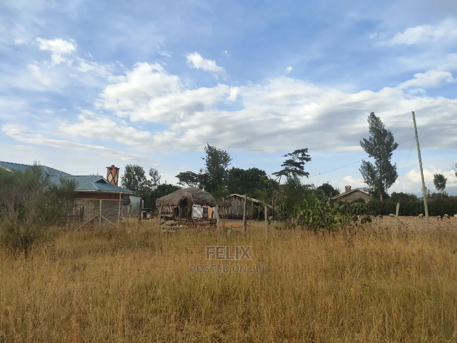 1 Acre Chaka/Narumoru Highway /Ndiriti